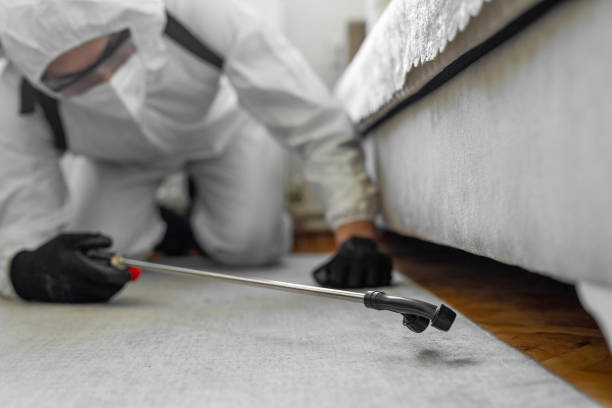 Professional Ant Control technician working in Port St. Lucie, FL