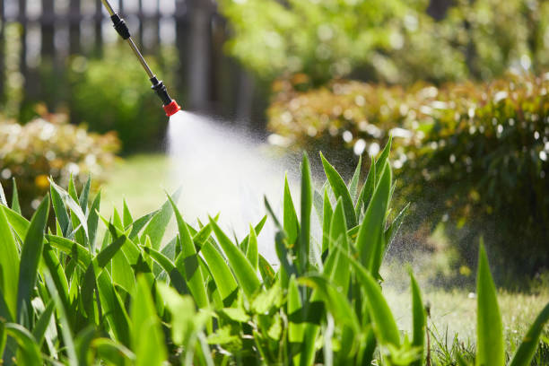 24/7 Emergency Ant Control experts in Port St. Lucie, FL